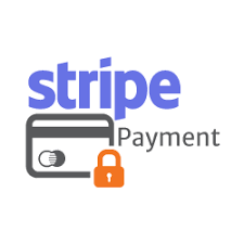 Stripe Payment Gateway Logo